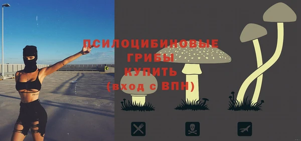 стафф Волосово