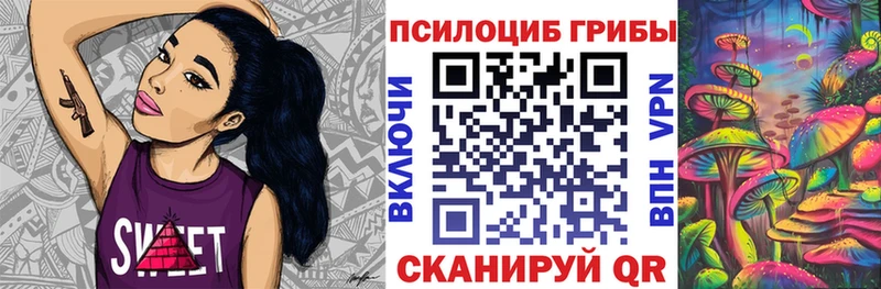 Псилоцибиновые грибы Cubensis  нарко площадка состав  Можайск 
