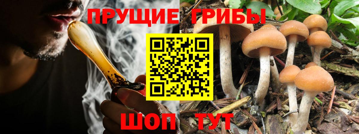 Галлюциногенные грибы Magic Shrooms  Вход с VPN  цены наркотик  Псилоцибиновые грибы MAGIC MUSHROOMS  Можайск 