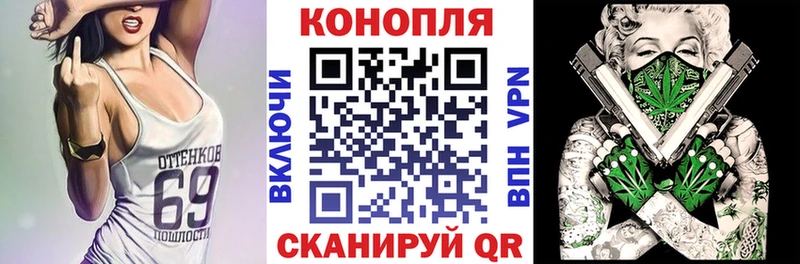 Бошки Шишки MAZAR Можайск